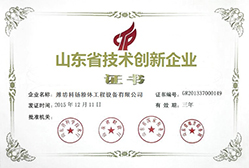 山东省技术创新企业
